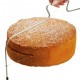 Pasta, Kek, Pandispanya Kesme Testeresi 42 x16 cm